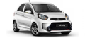 Picanto Picanto